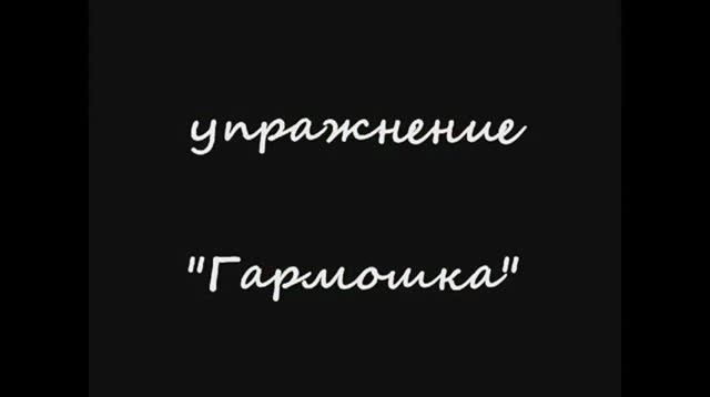 Гармошка