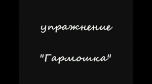 Гармошка
