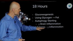 Что произойдет, если не есть в течение 3 дней?
(автоперевод)