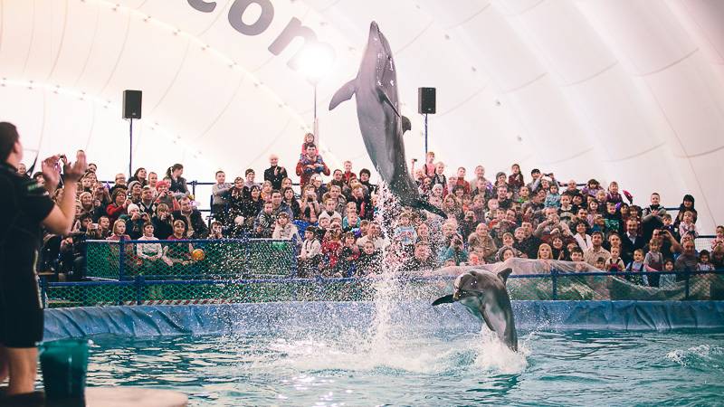 Дельфинарий г.Екатеринбург