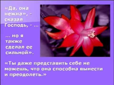 Все о женщинах смотреть онлайн