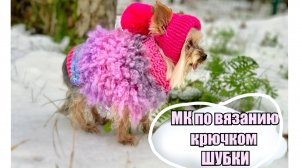 Стильная шубка (свитер) для собаки крючком — Stylish coat (sweater) for a dog by crochet