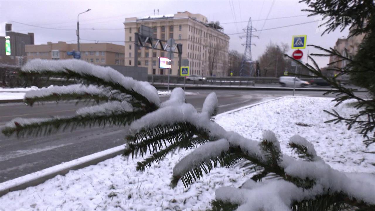 Центральную Россию и другие регионы накрывает волна непогоды