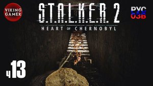 S.T.A.L.K.E.R. 2: Сердце Чернобыля. Прохождение с Рус Озв.  ч.  13  Сбор  тайников в Малой зоне