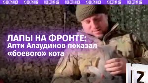 «Мышку ловил сегодня?» — Алаудинов показал боевого кота «Питерского» спецназа «Ахмат» / Известия