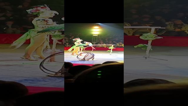 цирк крокус 1 смотреть онлайн