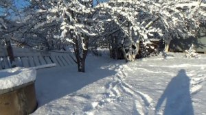 Съездили сегодня на дачу. Снега выпало много. Ураган свалил забор.