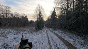 Загонная, лось, 9,3х62 Mauser