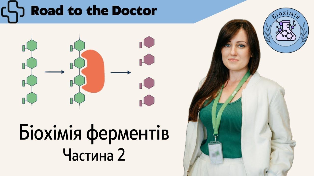 Біохімія ферментів | Частина 2