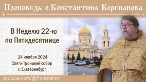 Проповедь священника Константина Корепанова в Неделю 22-ю по Пятидесятнице (24.11.2024)