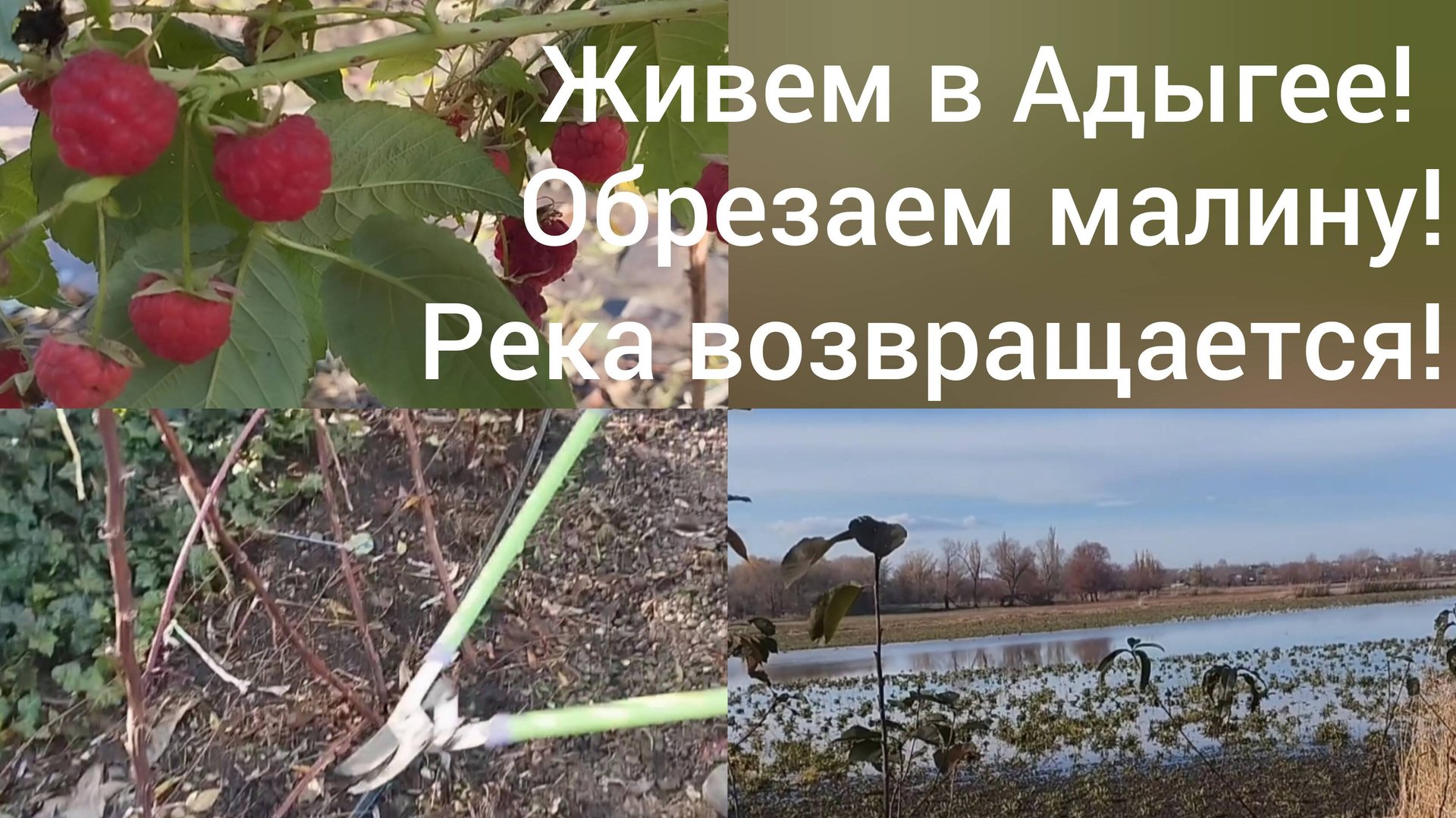 Переехали в Адыгею/Готовим малину к зиме/Наша река опять вернулась/Живем в Гиагинской/ смотреть онлайн