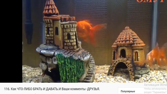 сюж 116 как что либо брать или отдавать