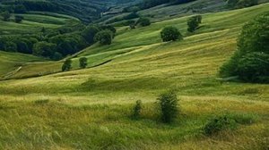 Жизненные истории - Испытание дружбы...