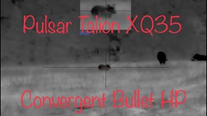 Pulsar Talion XQ35 pro | Calling in Boar with Convergent Bullet HP