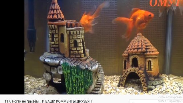 сюж 117 ногти не грызем