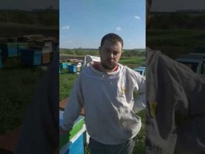 создание ютуб канала Пчеловод 46