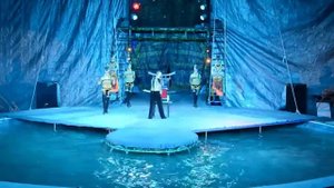 Водное цирковое шоу в Смоленске («AQUA-SHOW»)