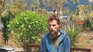 Ophiopogon japonicus,麦门冬Mai Men Dong (TCM) Растения ТКМ, тоники инь. Офиопогон японский