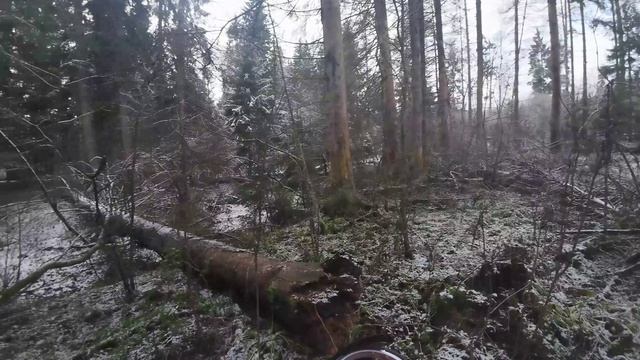 Эндуро по первому снегу. Руза