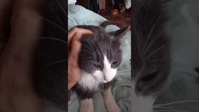 1000005902.mp4
