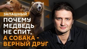 Эдгард Запашный. Опасные черепахи, преданность животных и реабилитационные центры для зверей