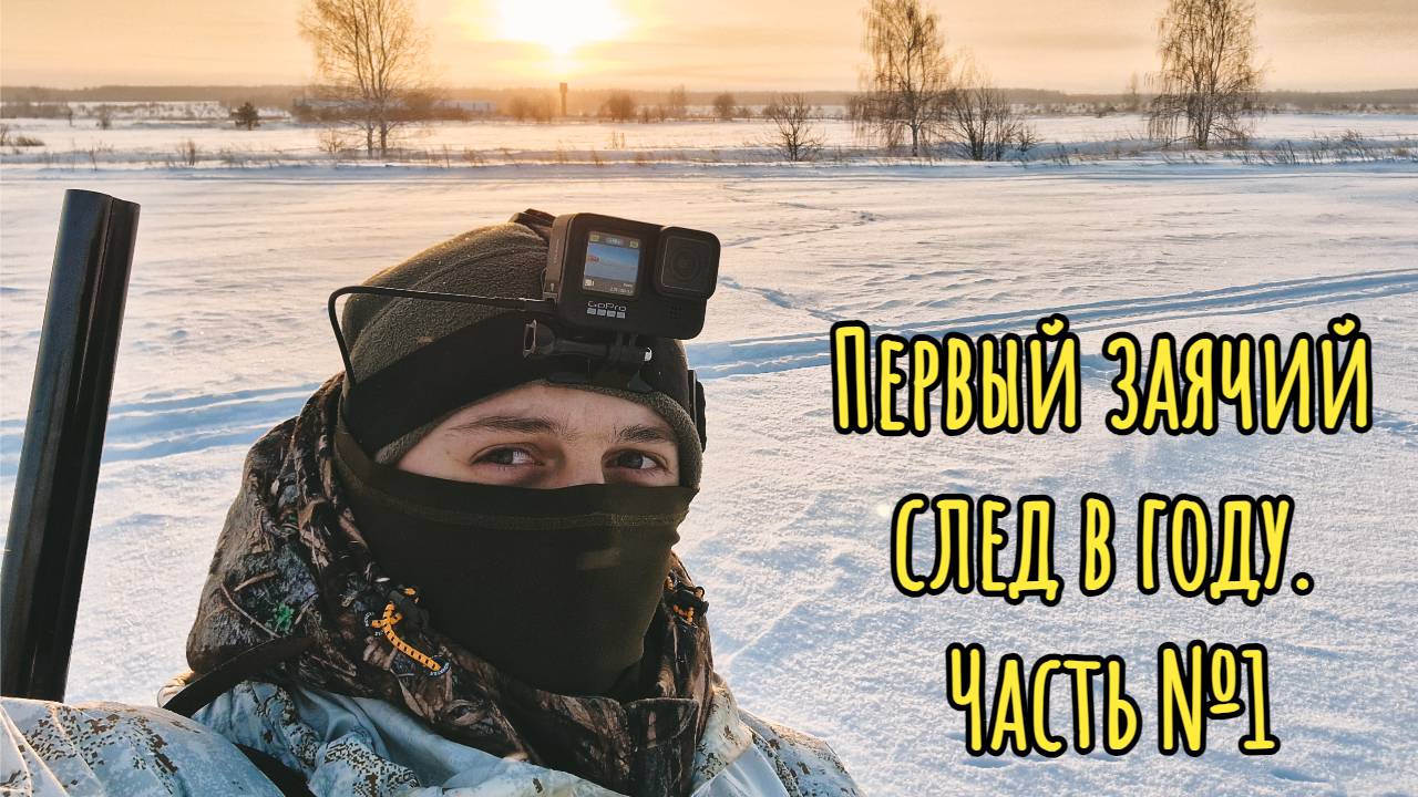 Первый заячий след в году.