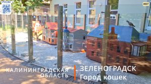 Зеленоградск (Калининградская область). Мурариум, набережная и не только