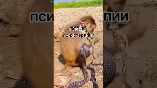 Посетил психотерапевта