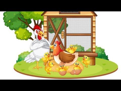 Курятник начало часть 2 .#курятниксвоимируками #куры #цыплята #яицо
