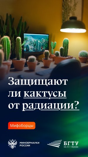 Защищают ли кактусы от радиации?