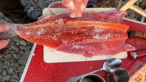 по тундре певек