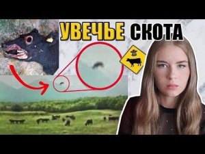 УВЕЧЬЕ СКОТА: Жуткое Явление, Которое Не Могут Объяснить Ученые // Теории Заговора