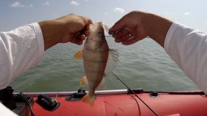 Вот эта рыбалка на окуня!