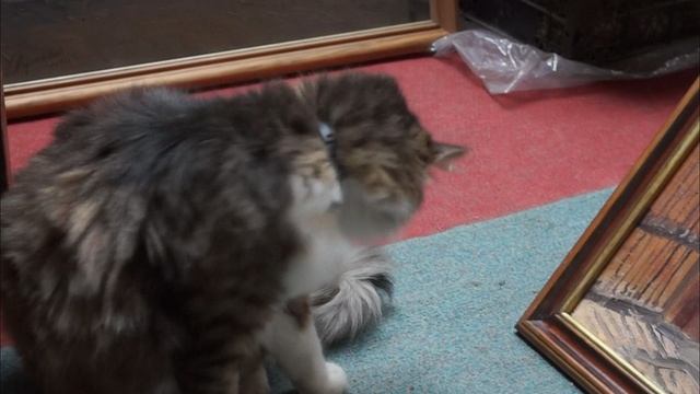 Художники Анатолий Ягушевский и Иван матыченко смотреть онлайн