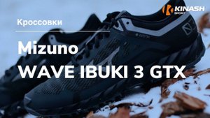 Кроссовки Mizuno WAVE IBUKI 3 GTX. Обзор за 30 секунд