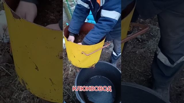 Замес грунта для клюквы смотреть онлайн