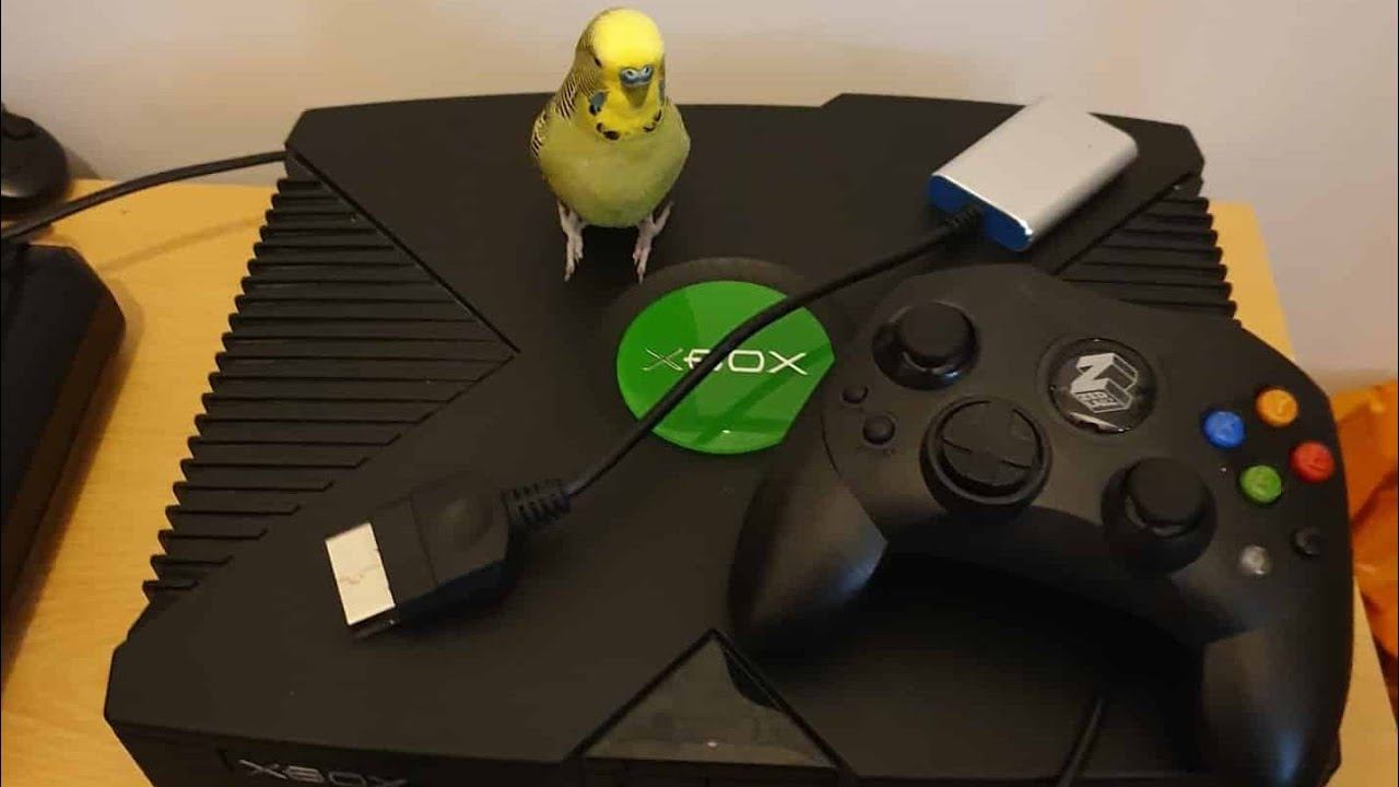 Kaico Labs Xbox HDMI Adapter Prototype Preview смотреть онлайн