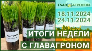 Итоги недели с ГлавАгроном. 18.11.2024 - 24.11.2024