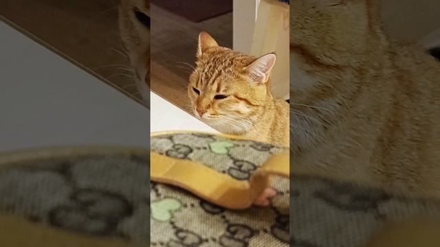 Тело спит, оно устало. #спокойнойночи #девочкиимальчики