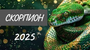 СКОРПИОН ♏ ТАРО-ПРОГНОЗ НА 2025 ГОД
