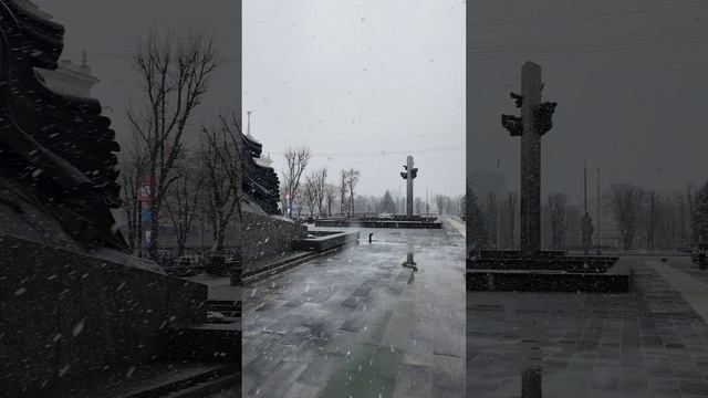 Луганск ЛНР Россия Сквер Героев Великой Отечественной войны, мокрый снег ноябрь 2024