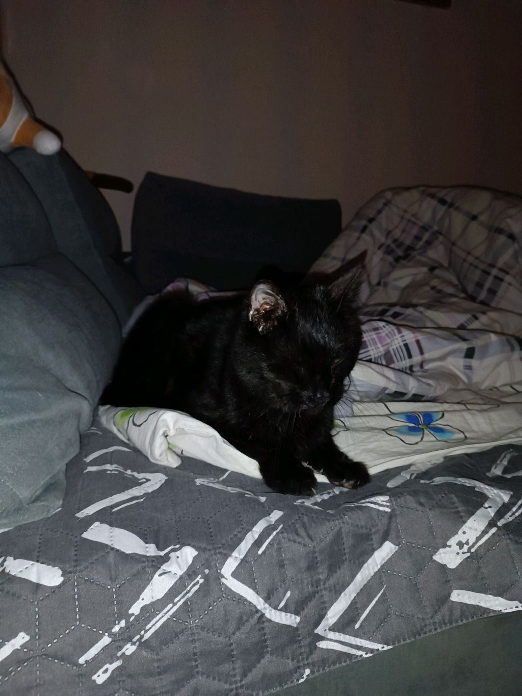 Minecraft ТNТ смотреть онлайн