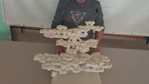 Декорация ДФ-341