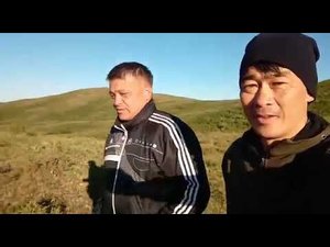 #сюцай Число сознания 2
от мастеров Сюцай)