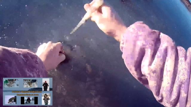 Хороший ротан на мормышку👍🎣