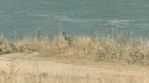 дорога по побережью (генеральские пляжи)