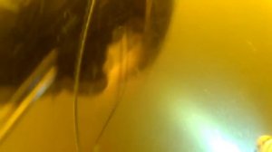 подводная охота в корягах на сома и судака