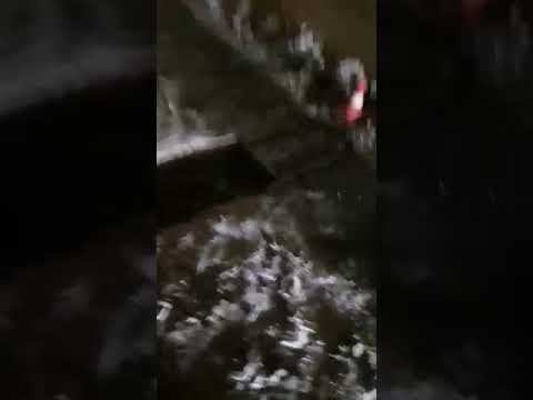 Беспредел весового контроля в Удмуртии и бездействие полиции смотреть онлайн