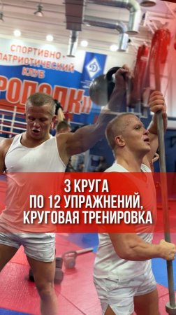 КРУГОВАЯ ТРЕНИРОВКА / 3  круга по 12 УПРАЖНЕНИЙ / КОМПЛЕКС за 33 МИНУТЫ / клуб ЯРОПОЛК, 17.11.2024