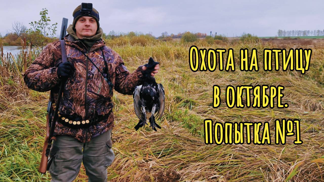 Охота на птицу в октябре. Попытка №1. 2023 год